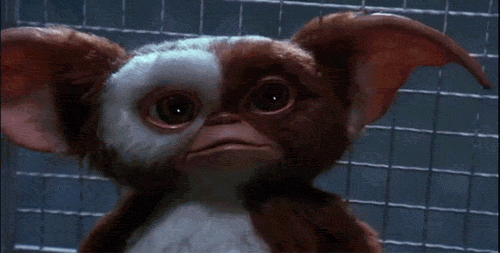 shocked gremlin