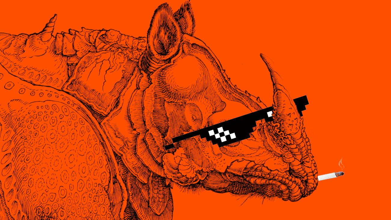 Durer’s Rhino