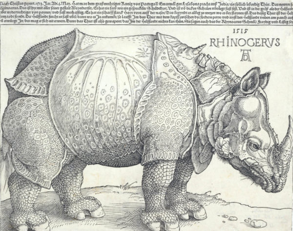 Durer's 16th Century Rhino Durer's 16th Century Rhino