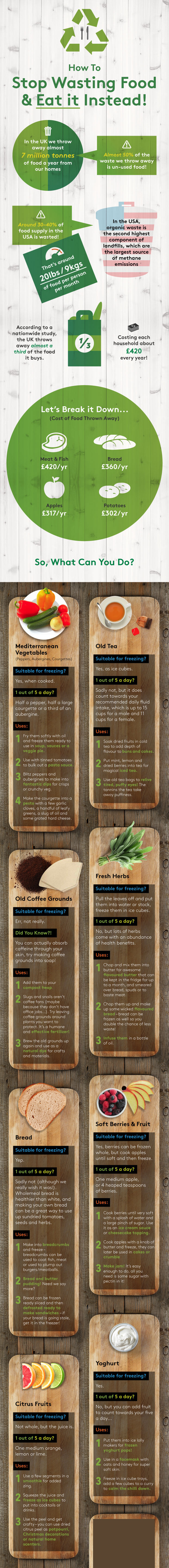 Waste food infographic