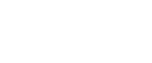 The Digital Maze logo